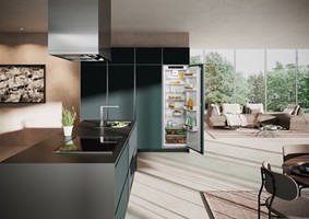 Hladilni-aparati-in-vinske-vitrine/IRE5100-LIEBHERR-HLADILNIK_2