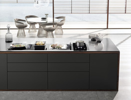 Kuhalne-plosce/CS7102-1-FL-MIELE-PLOSCA-2X-PLIN_4