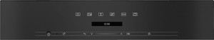 Pecice/DG7240-EDSTCLST-MIELE-PECICA-PARNA_2